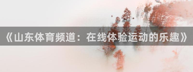 《山东体育频道：在线体验运动的乐趣》